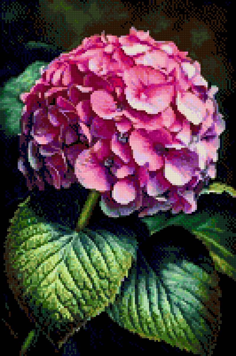 flores - предпросмотр