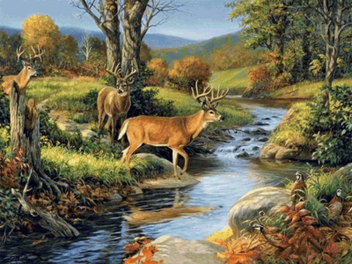 №2728645 - животные, лес, река, олени - оригинал