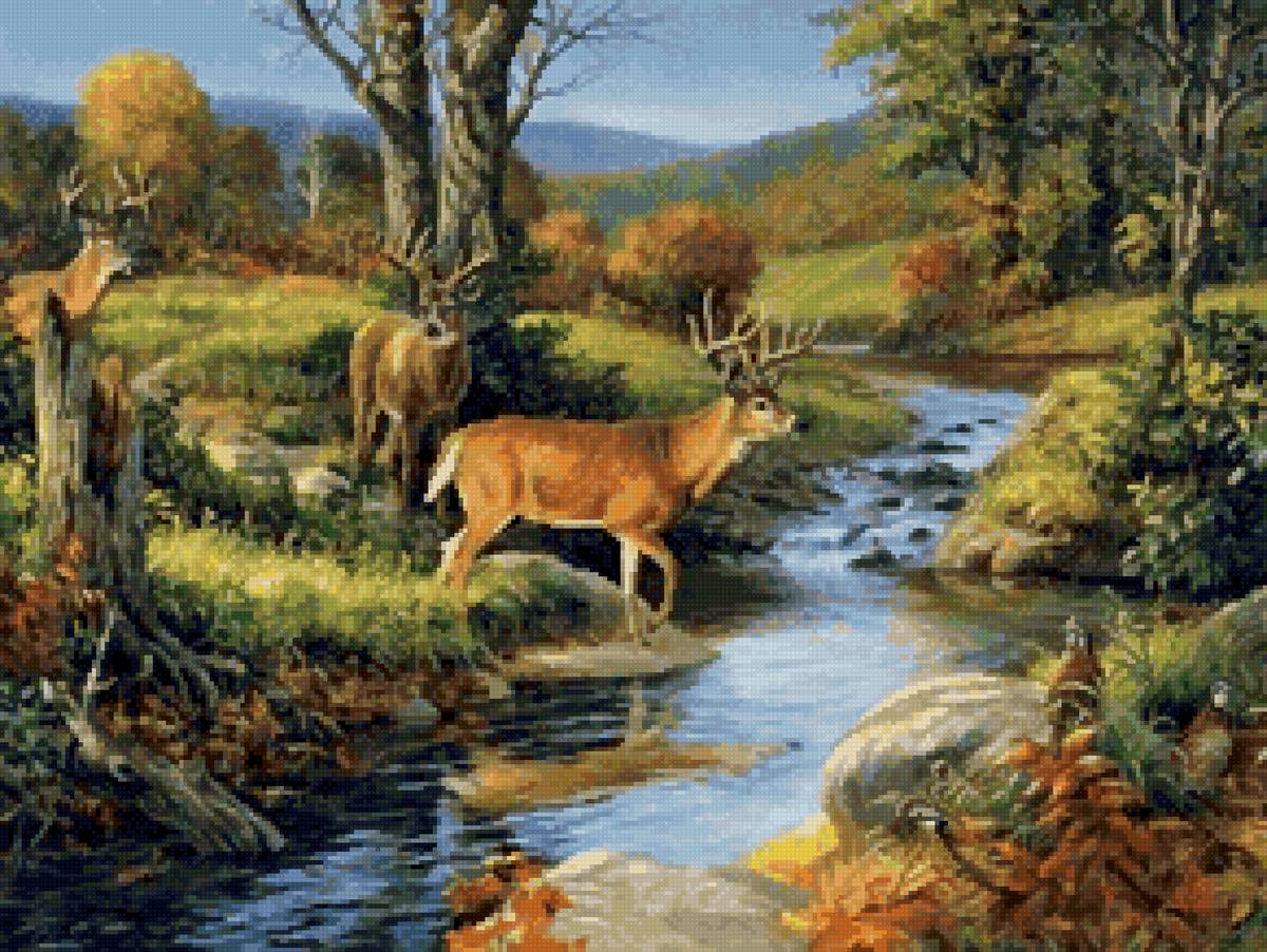 №2728645 - животные, лес, олени, река - предпросмотр