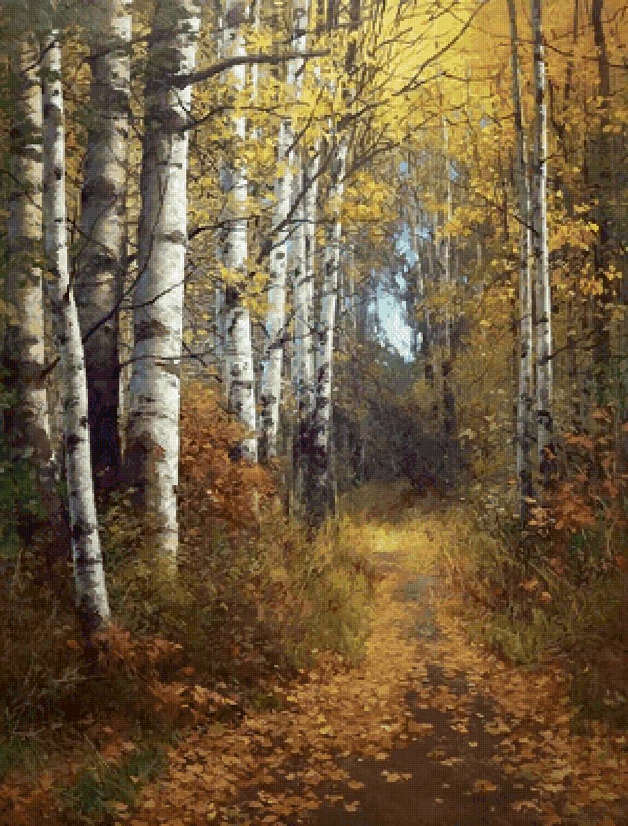 Тропинка в осень - лес, осень, березы, тропинка - предпросмотр