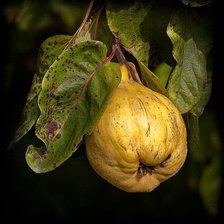 Схема вышивки «№2729158»