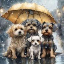 Схема вышивки «Rainy day puppies»