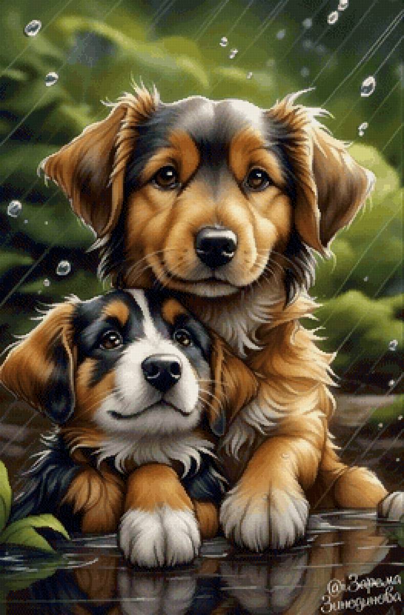 Друзья под дождем - щенки, дождь, собака, собаки, животные - предпросмотр