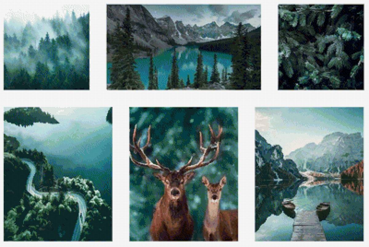 модльные картины - лес - предпросмотр