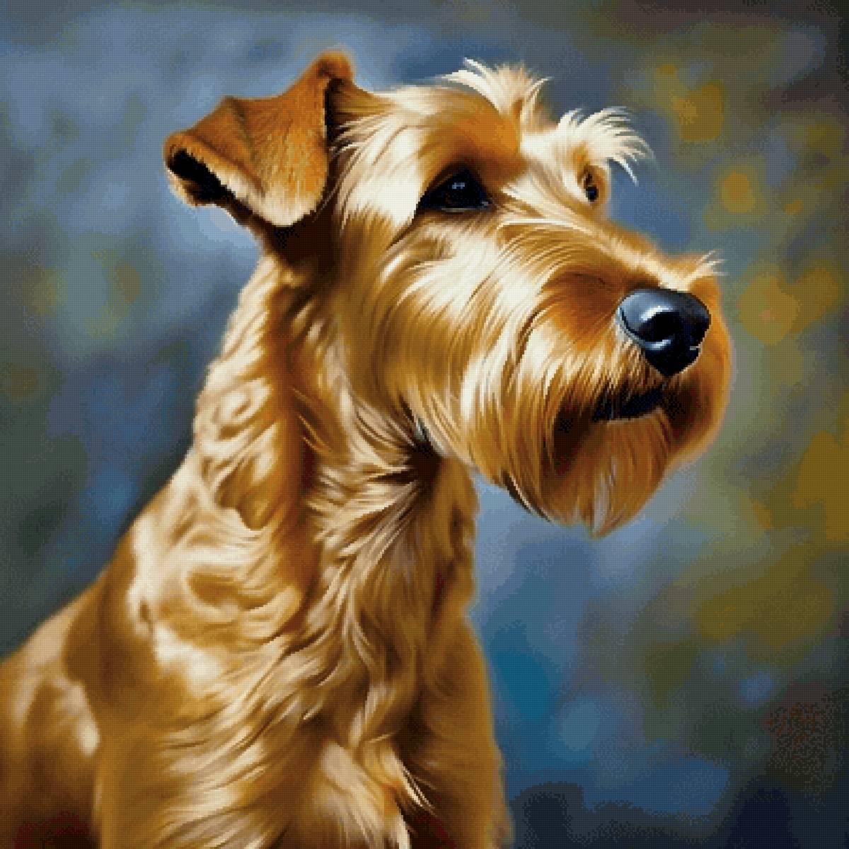 Ирландец - собака, животные, ирландский терьер, собаки - предпросмотр