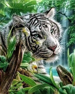 №2729785 - тигр, животные - оригинал