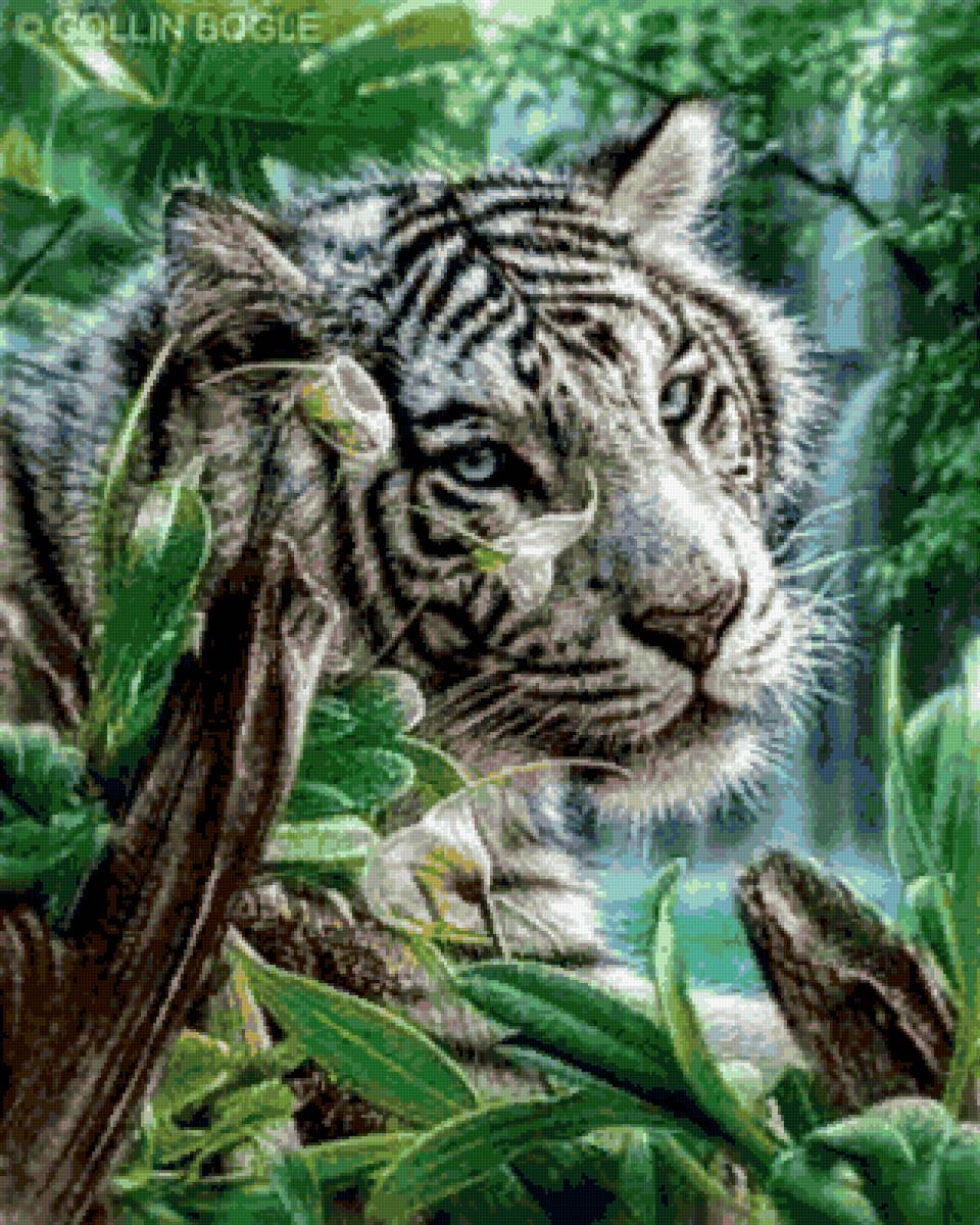 №2729785 - тигр, животные - предпросмотр