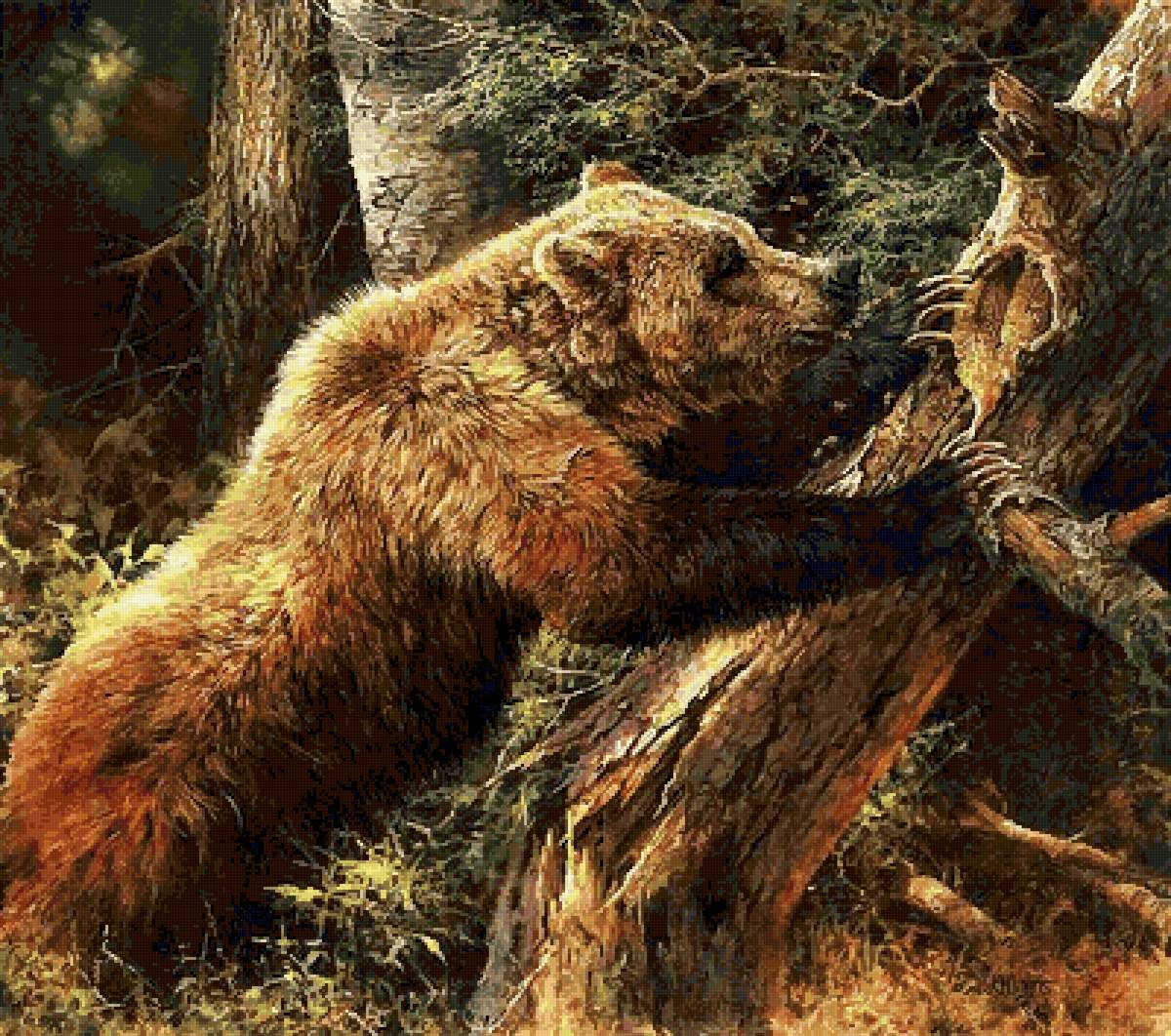 №2729928 - медведь, животные - предпросмотр