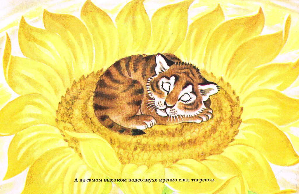Тигренок на подсолнухе - подсолнух, тигренок - оригинал