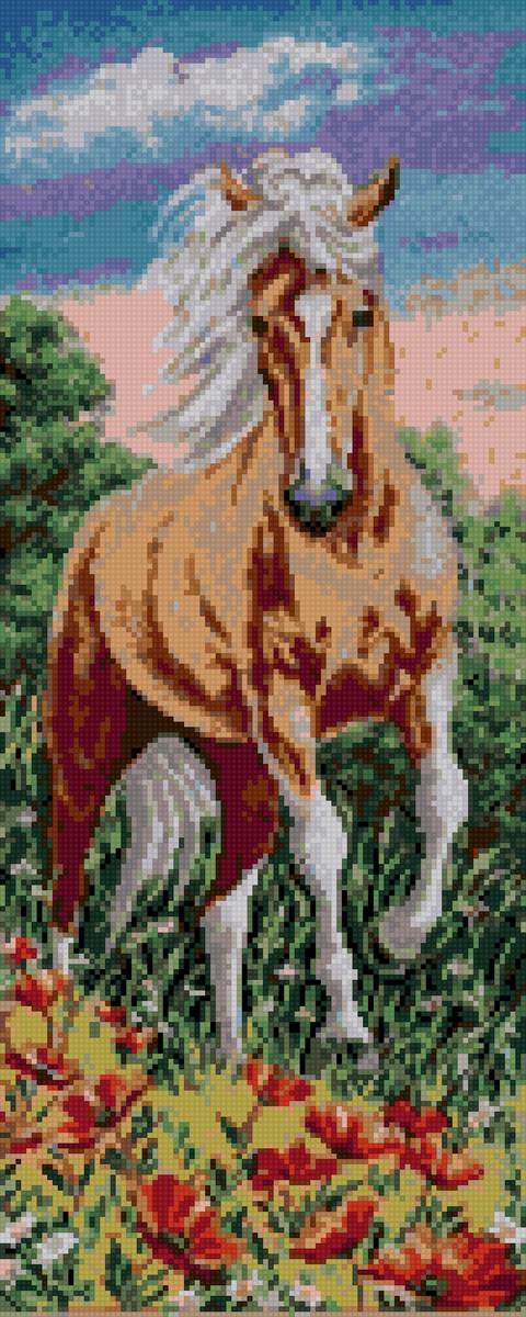 Конь - конь животные - предпросмотр