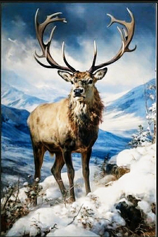 №2730410 - животные, олень - оригинал