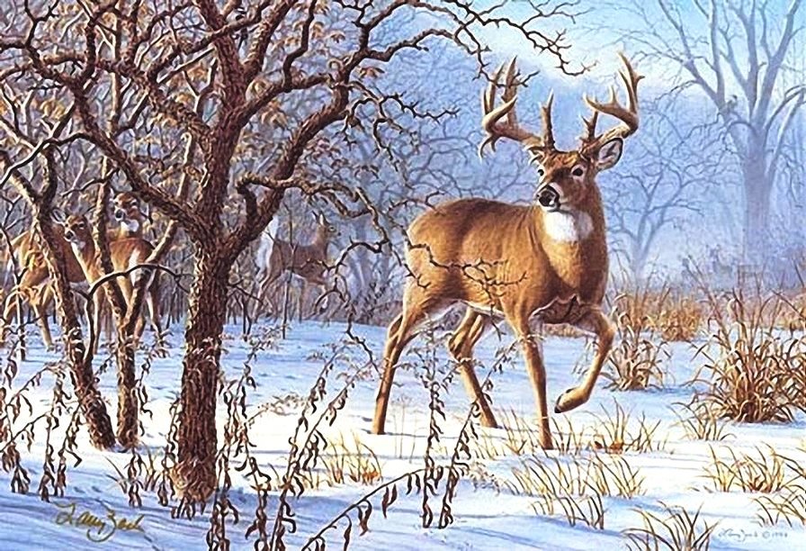 №2730451 - олени - оригинал