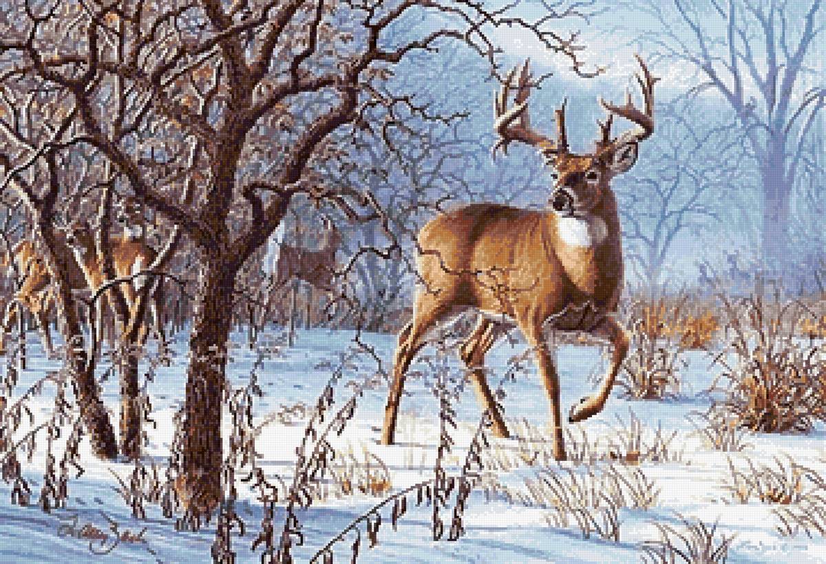 №2730451 - олени - предпросмотр