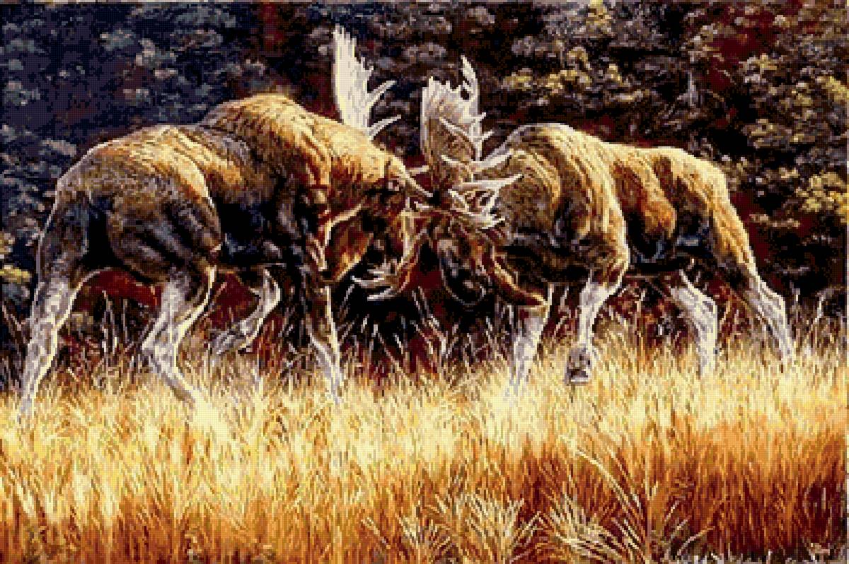 №2730750 - животные, лоси - предпросмотр