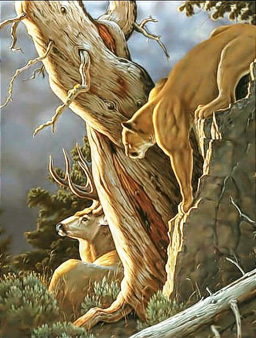 №2730789 - олень, пума, охота, животные - оригинал