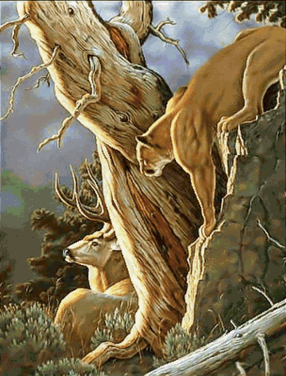 №2730789 - охота, олень, животные, пума - предпросмотр