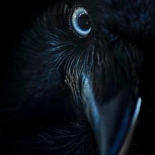 Схема вышивки «№2730796»