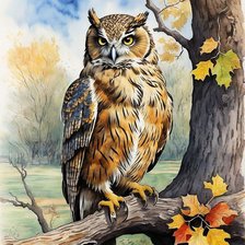 Схема вышивки «Сова»