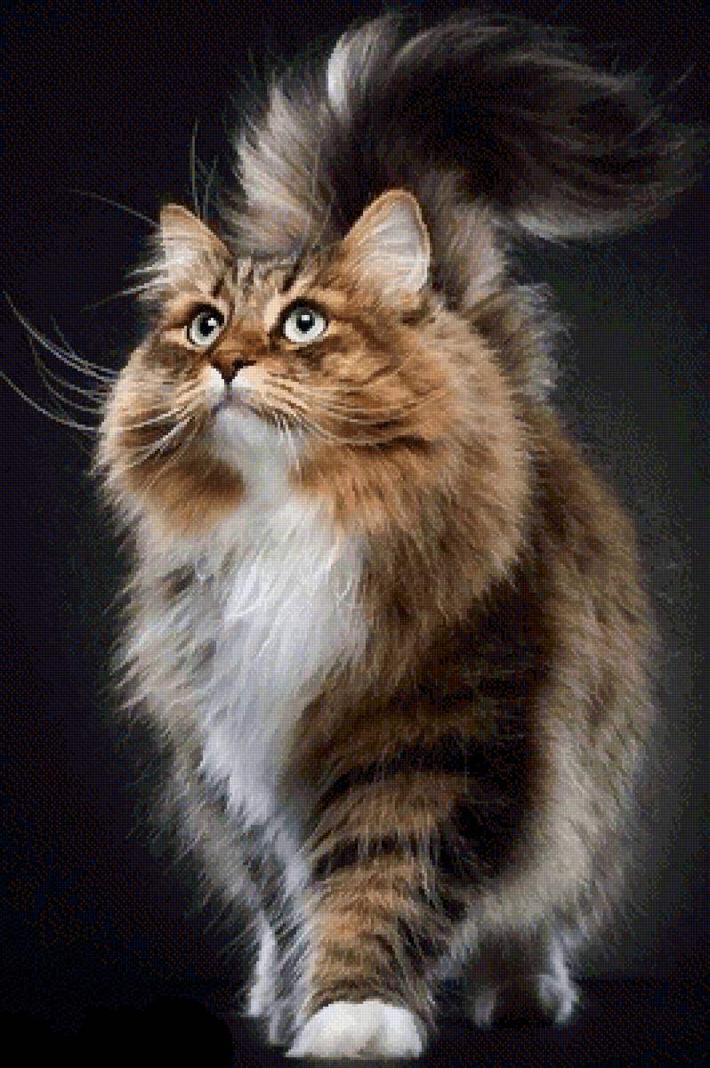 Любимчик - любимчик - предпросмотр