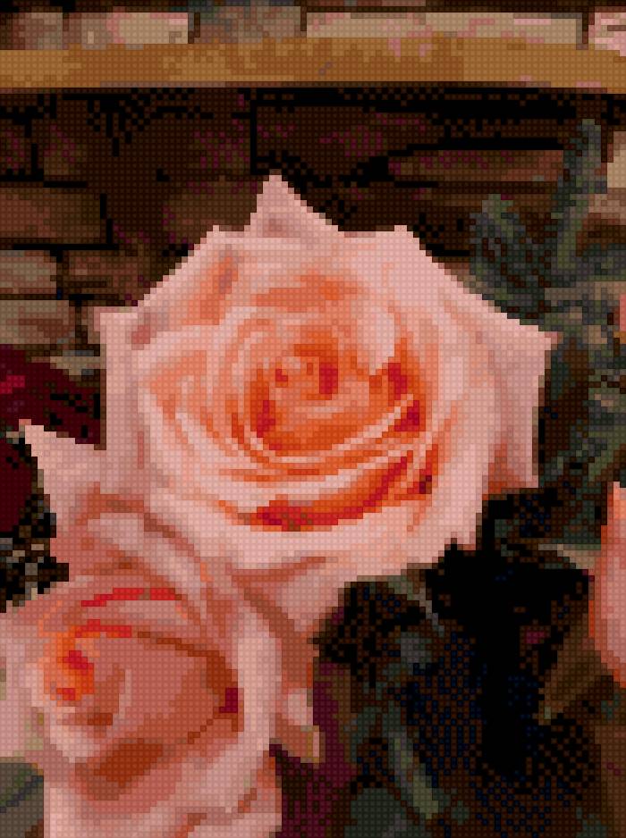 Розовые розы - предпросмотр