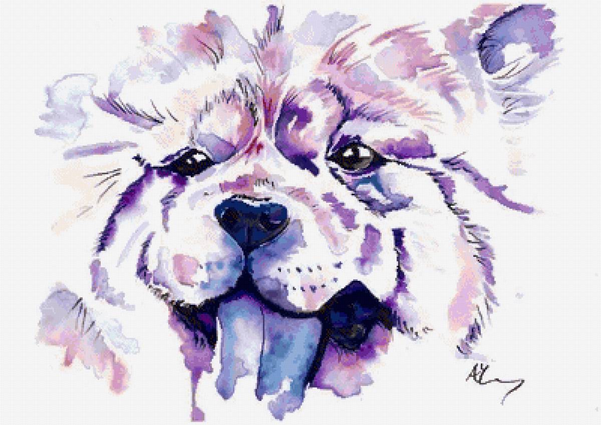 чау - предпросмотр