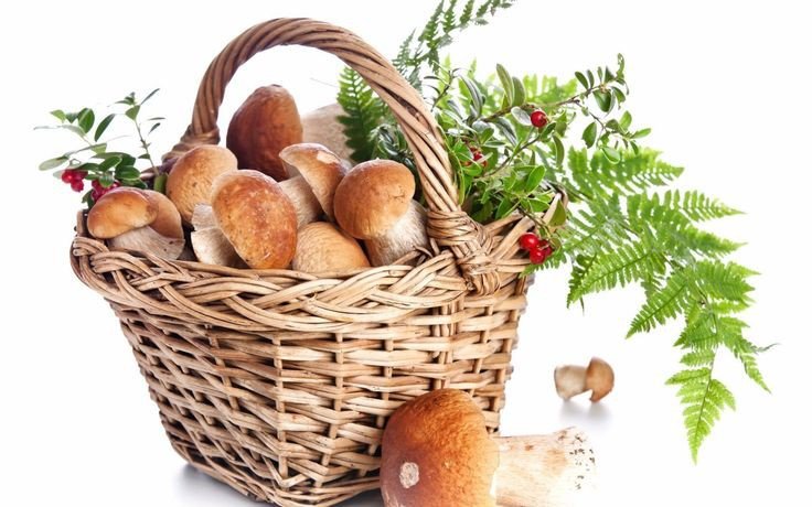 Грибы в карзине - грибы - оригинал