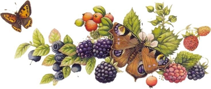 Натюрморт - натюрморт - оригинал