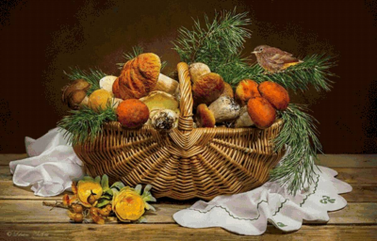 Грибы - грибы - предпросмотр