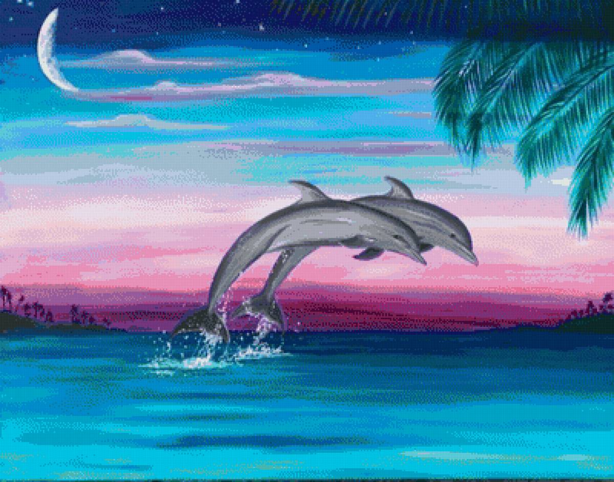 Дельфины - предпросмотр