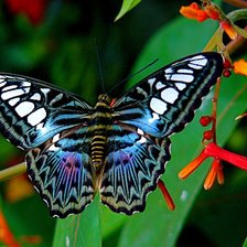 Схема вышивки «№2733642»