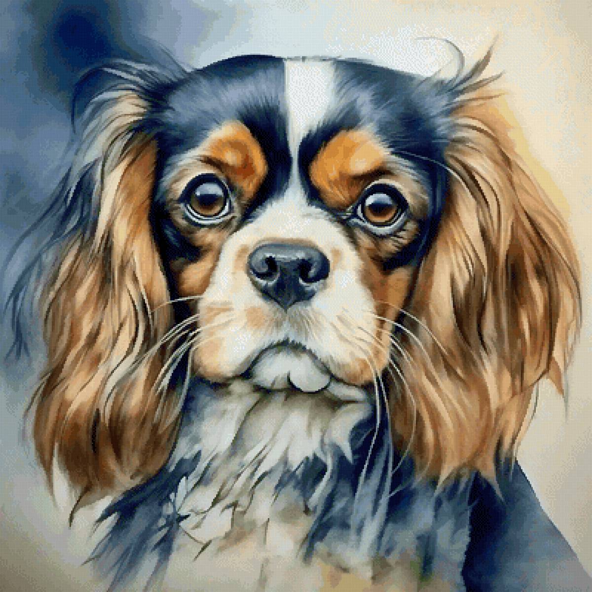 кавалер Кинг Чарльз спаниель - собаки, собака, животные - предпросмотр