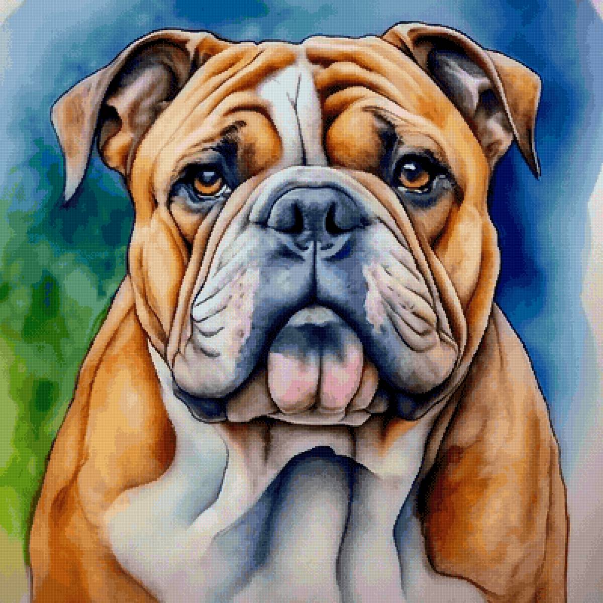 Английский бульдог - животные, собаки, собака - предпросмотр