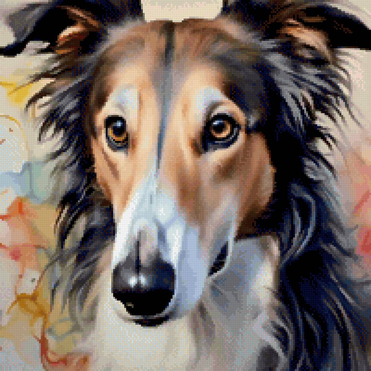 Русская борзая - собака, животные, собаки - предпросмотр