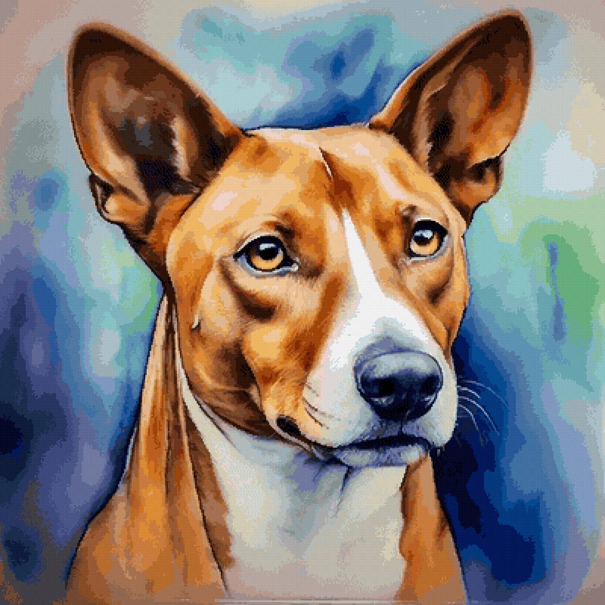 Басенджи - собака, животные, собаки - предпросмотр