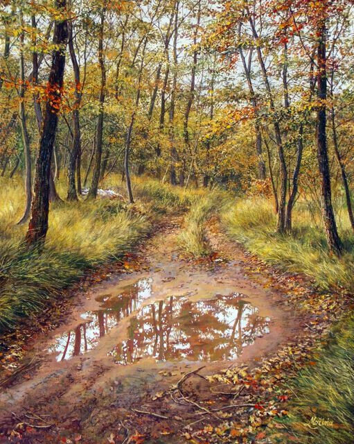 Дождь прошел - дорога, осень, лес - оригинал