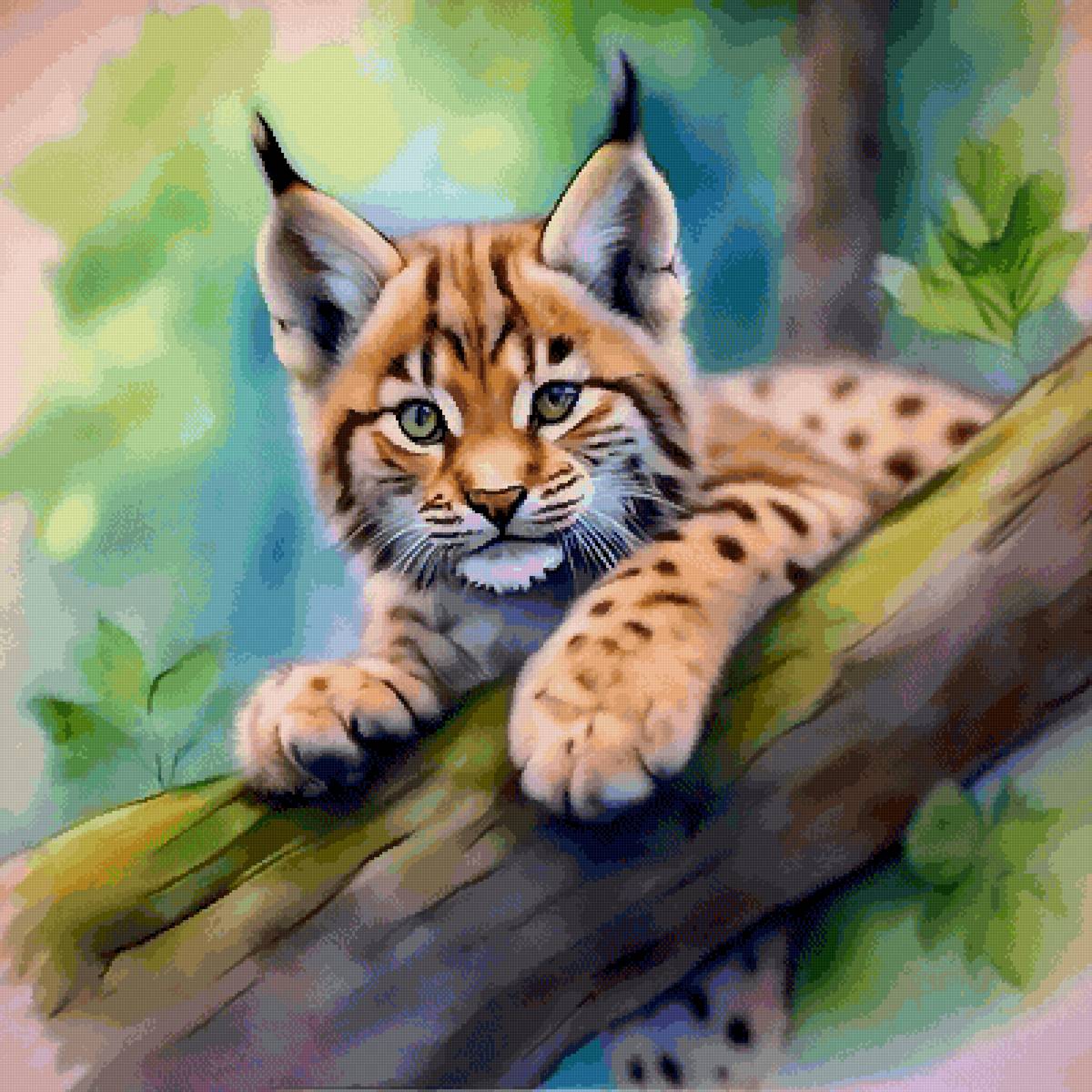 Рысенок - животные, дикие кошки - предпросмотр