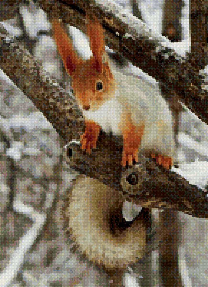 Бельчонок - природа, белка - предпросмотр