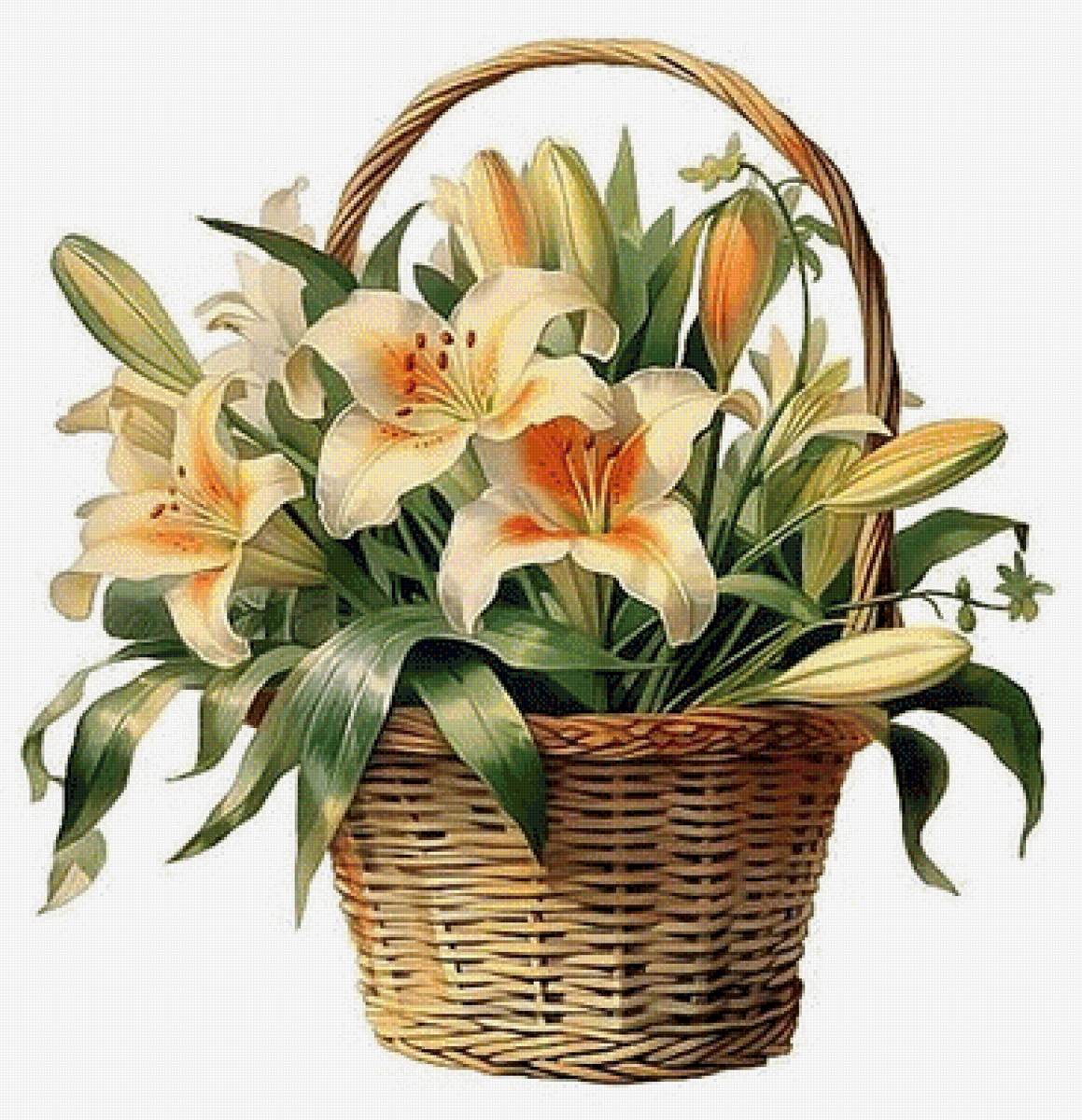 Карзина с лилиями - карзина с лилияии - предпросмотр