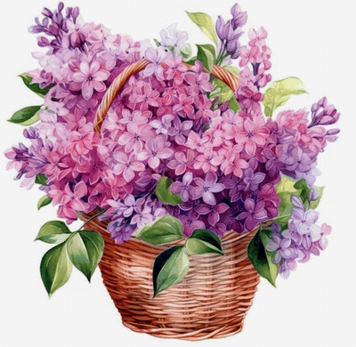 Сирень - сирень - предпросмотр