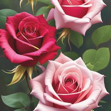 Схема вышивки «№2736229»