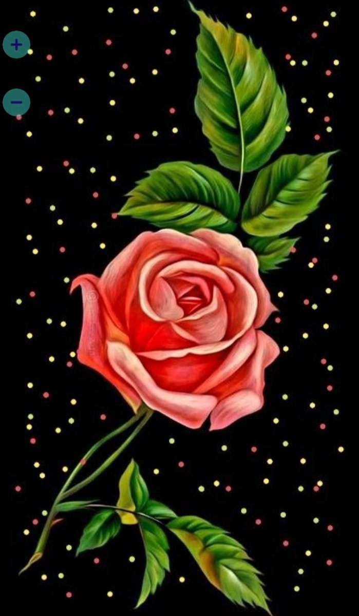 Роза - оригинал