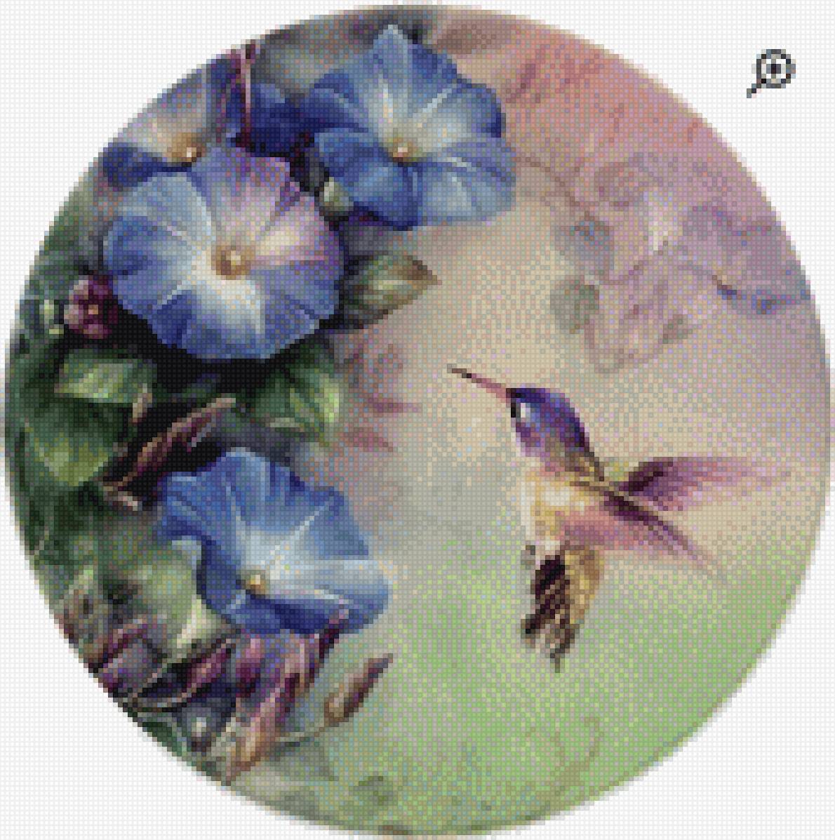 Вьюнок - предпросмотр