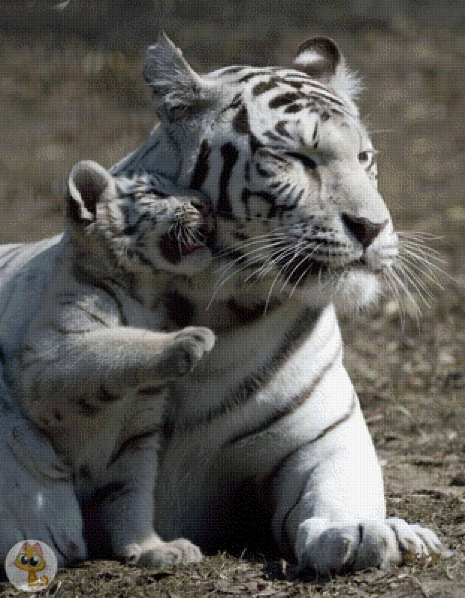 ябеда - животное - предпросмотр