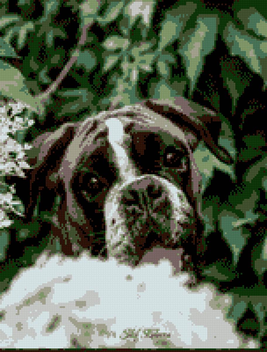 Портрет батюхи - баха - предпросмотр