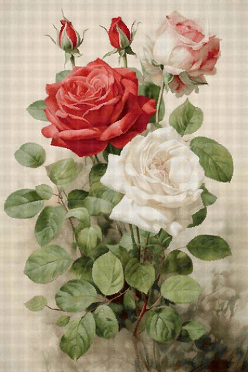 Букет роз - букет роз - предпросмотр