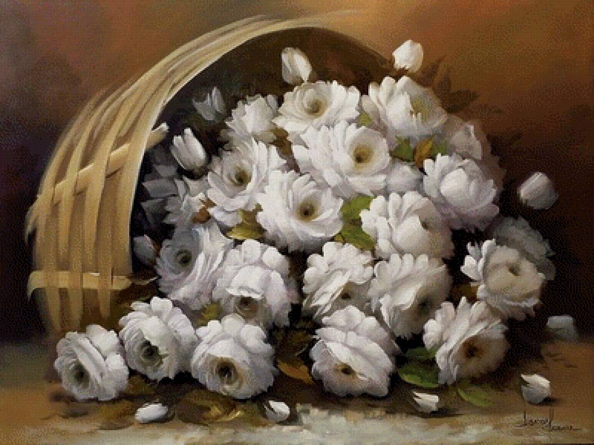 Розы белые - розы белые - предпросмотр