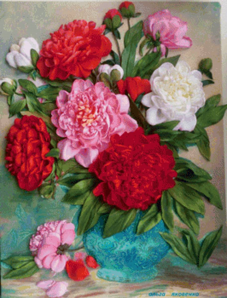 Пионы - пионы - предпросмотр