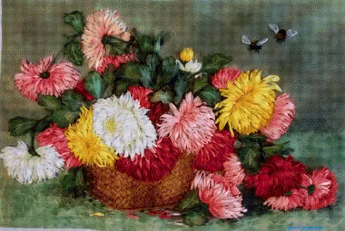 Астры - астры - предпросмотр