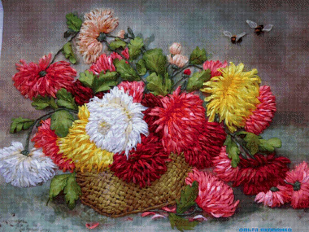 Астры - астры - предпросмотр