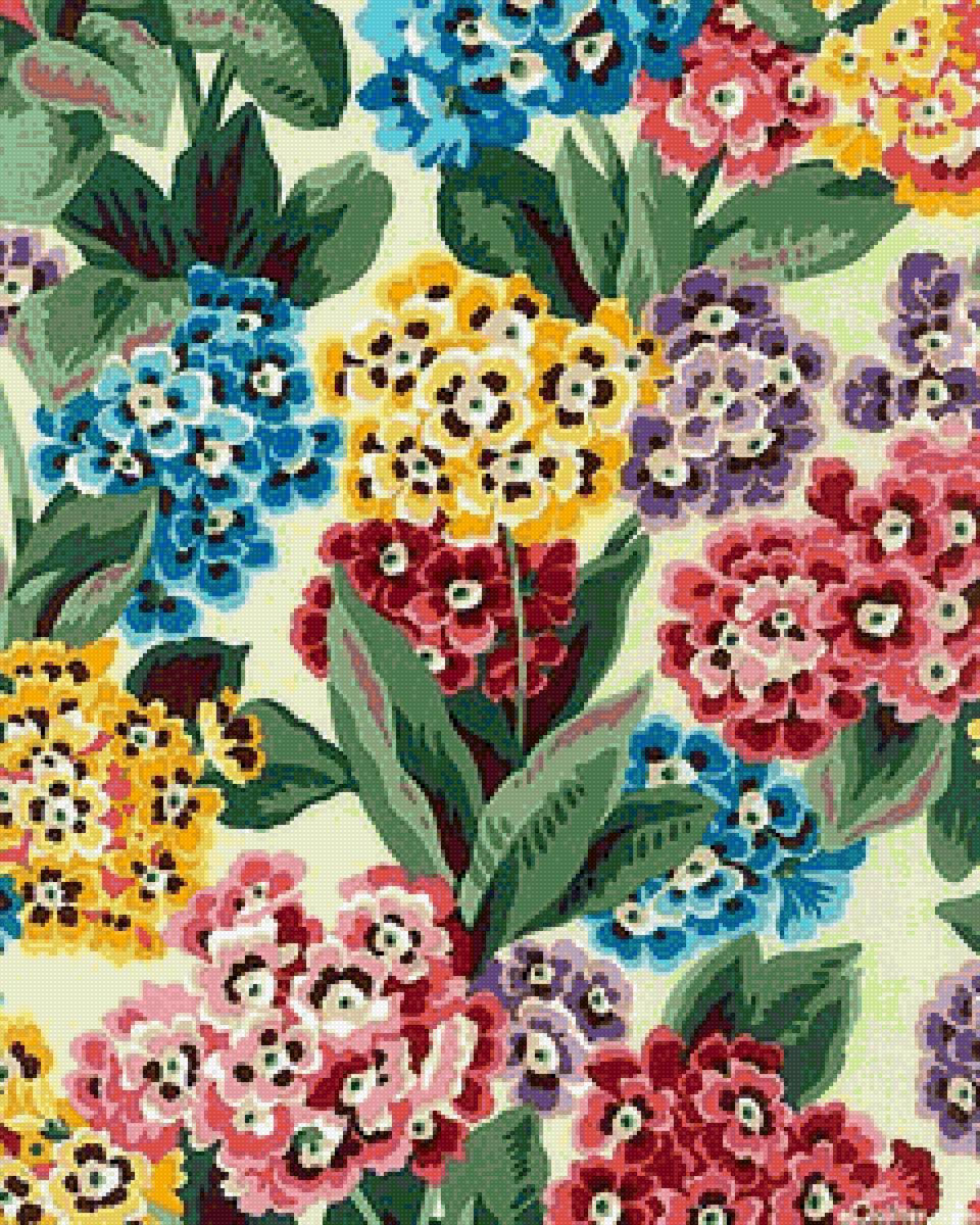 примулы - цветы - предпросмотр